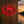 Personalized LED Color Changing Acrylic Lake House Sign